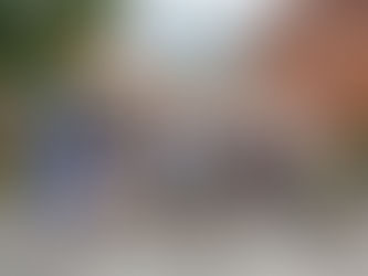 Der längste Flohmarkt des Jahres: Tauschpavillon in Westercelle ab 3.6.