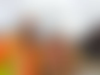 Nistkästen bauen mit Grundschülern