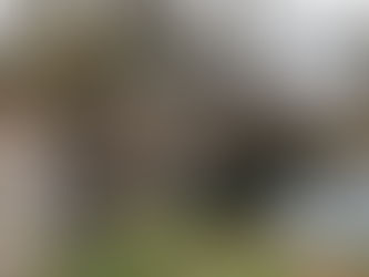 "Franzgarten" Fußgängerbrücke bis Mittwoch gesperrt