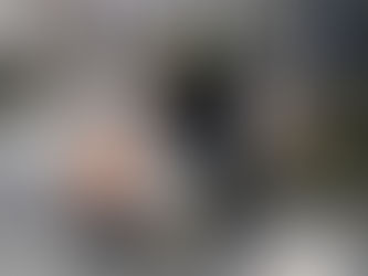 +Update+ "Klimakleber" protestieren in Celle | VIDEO