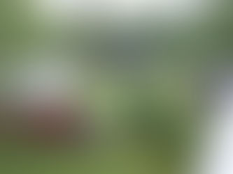 Internationaler Museumstag am Sonntag, den 21. Mai 2023