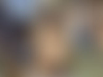 Landkreis vermittelt drei Pferde nach Beschlagnahmung