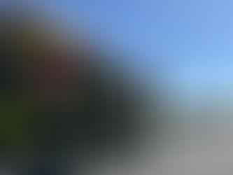 +2. Update+ Tödlicher Unfall auf der L 311