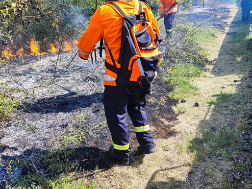 Drei Vegetationsbrände innerhalb von zwei Stunden in Celle