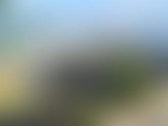 Flächenbrand in Celle