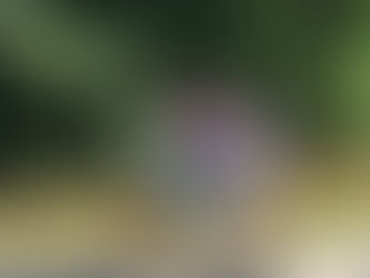 Radsport-Event: 30 km Einzelzeitfahren