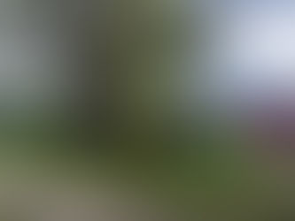 Böschungsbrand in Wathlingen