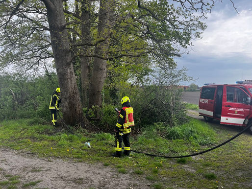 Böschungsbrand in Wathlingen