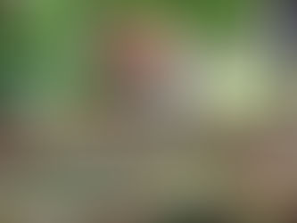 Junger Fuchs in Zaun verheddert