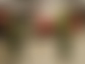 Neue Logistik-Gruppe der Feuerwehr Celle bereits im Einsatz