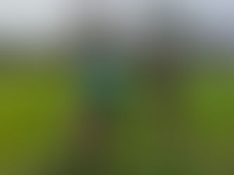 SV Eintracht Bleckmar I – ASV Faßberg I