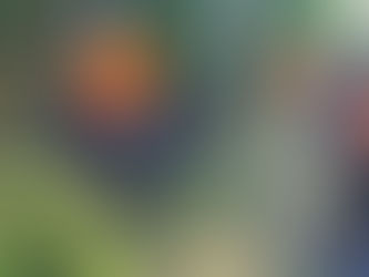 Einsatzreicher Wochenstart für Celler Feuerwehr