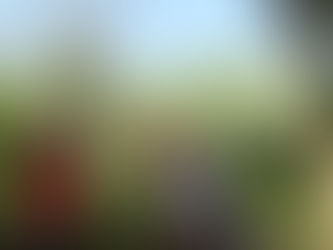 Bogensport: Zuschauen beim Landesverbandsentscheid möglich 