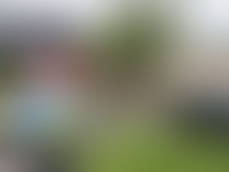 Küchenbrand in Lachendorf