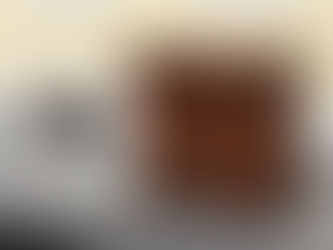 Mit der Biotonne gut durch den Winter: Tipps für frostige Tage