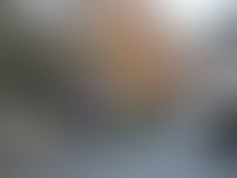 Feuerwehr-Übung in Hohne