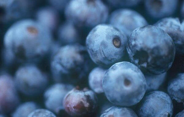 Heidelbeeren, Blaubeeren