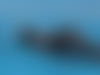 SV Nienhagen: Medaillen und zwei Landesmeistertitel beim Triathlon in Bokeloh