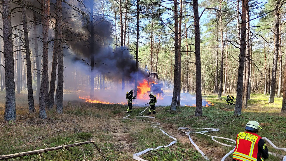 Feuerwehr, Maschinenbrand, Flächenbrand