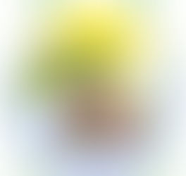 Krebsgesellschaft und IKK classic suchen Bewerber für „SunPass Kindergarten“