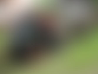 Internationaler Museumstag im Dorfmuseum Langlingen