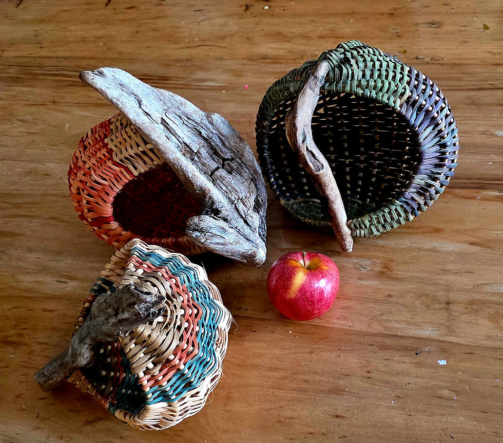 Driftwood Basket Weaving Workshop
