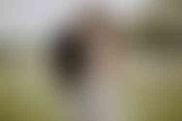 a husband and wife holding her pregnant belly with a golf course in the background for their charlotte maternity session