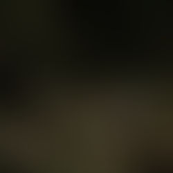 Kristin + Brady | Chattooga River, SC