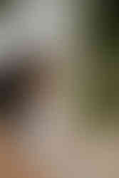 a mom kissing her baby daughter on the cheek during their lake norman family photography session