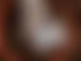 Jordan + Rich | The Farm at Brusharbor