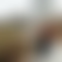 a mom and dad holding their baby girl walking down a path amongst fall foliage for their Charlotte family photographer