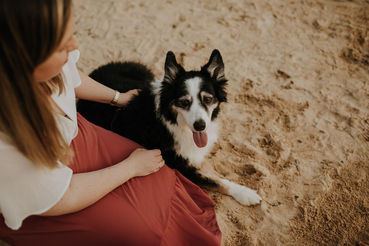 a dog laying on the beach with his female owner petting him at Jetton Park in Cornelius NC