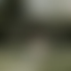 Apryl + Mike | Carriker Cottage