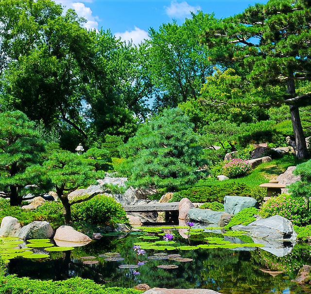 横浜市都筑区 | 植木屋 庭木の剪定・植栽、除草 枝おろし エクステリア