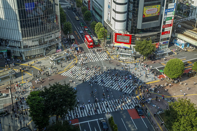 新宿区 渋谷区 行政書士 会社設立 外国人ビザ 行政許認可手続 在留関係 能登行政法務事務所