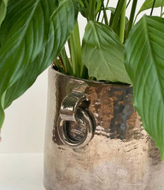 Bronze pottery flower pot.jpg