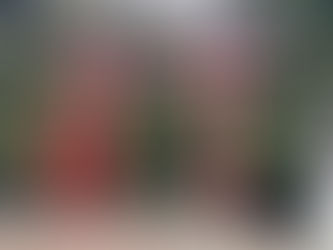 【休日ドライブ！！】越後一宮 彌彦神社