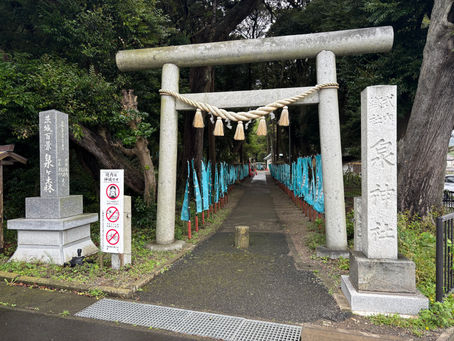 【ほっとひと息、気ままにドライブ】泉神社