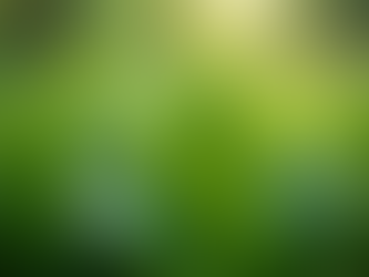 Testimonios Transformadores con Plantas Maestras