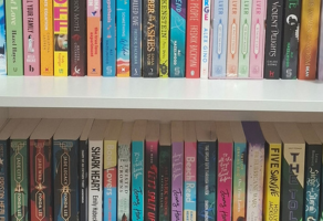 Bookshelves