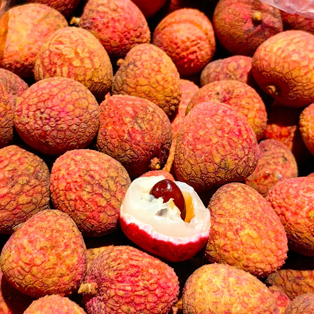 Lychee - SOUEY TUNG advanced