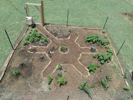 2020 Garden