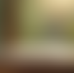 Unveiling the Future: The Evolution of Remote Work and Its Impact on Professional Landscapes