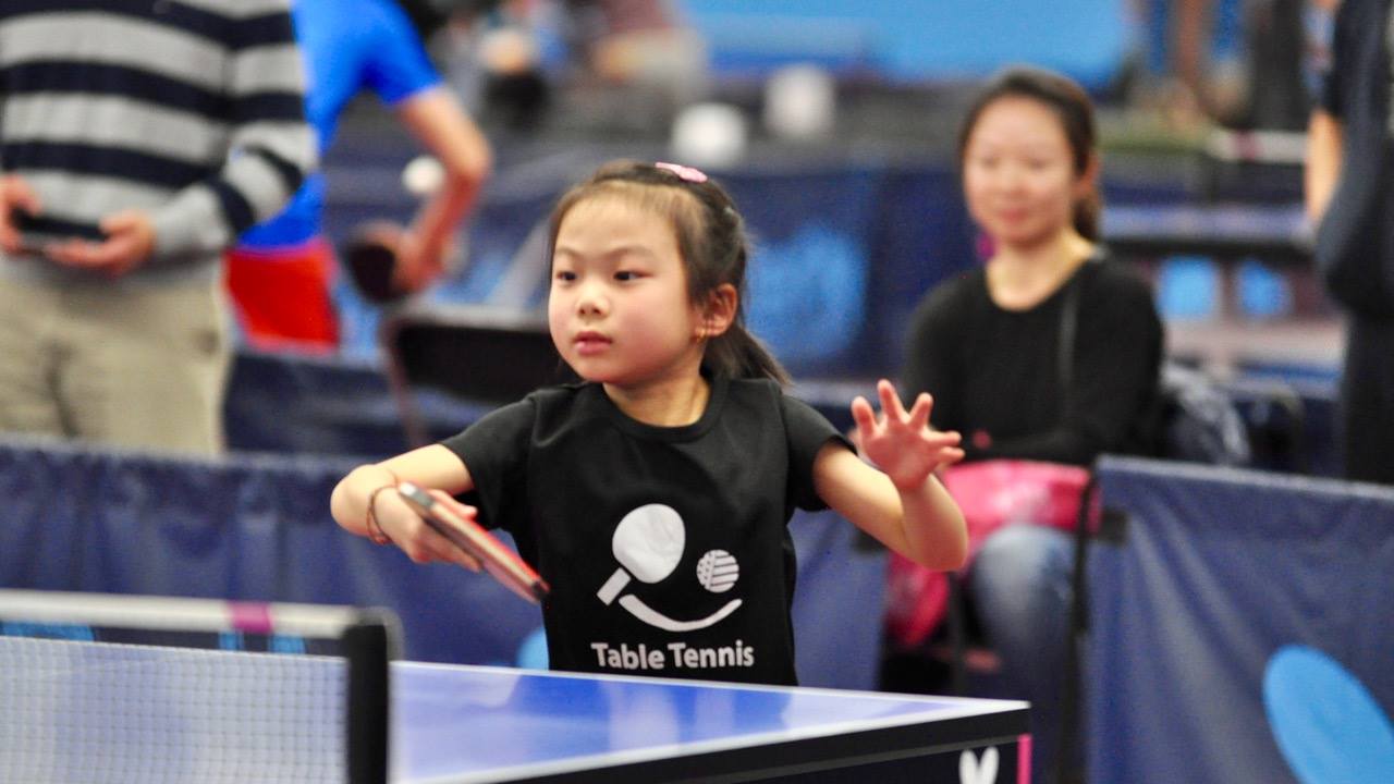 Ping Pong United States Table Tennis America