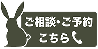 らんまん予約
