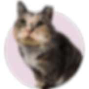 Elza