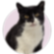 Muročka