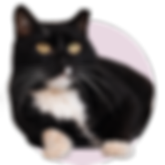 Bērtulis
