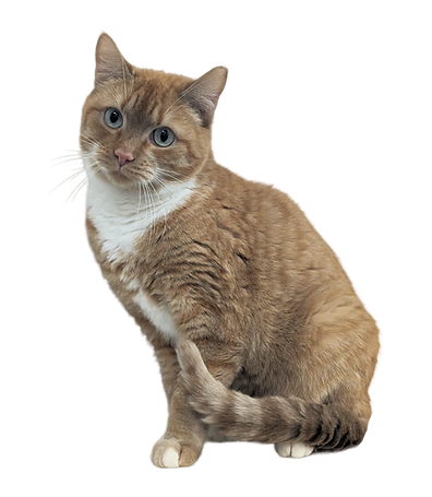 melnpele.png