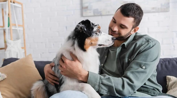 —Pngtree—no image vector illustration isolated_4979075.png